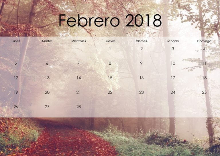 calendario-2018-febrero-768x543